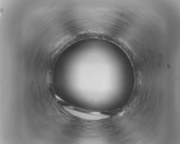 X0000089431110200707061337