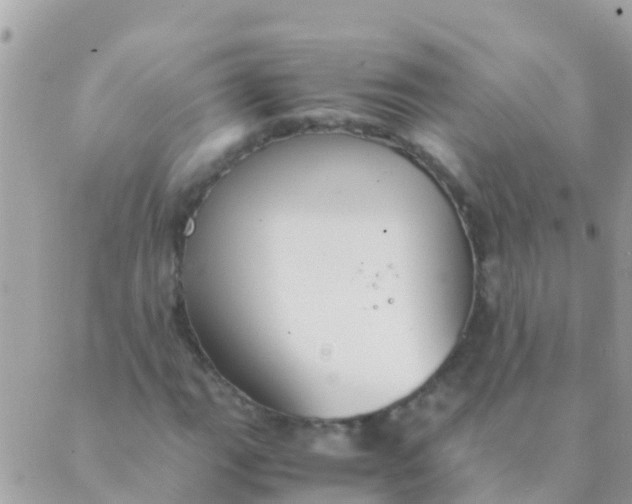 X0000089431111200707061337