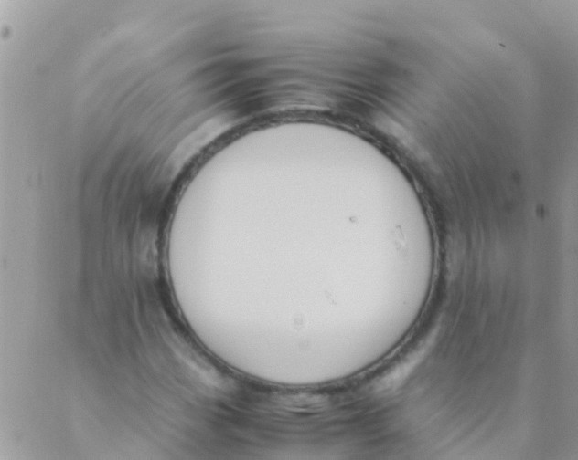 X0000089431113200707061337