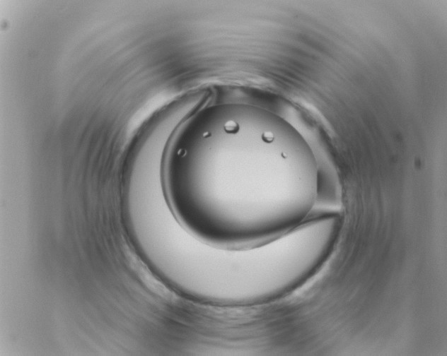 X0000089431114200707061337