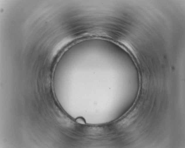 X0000089431115200707061337