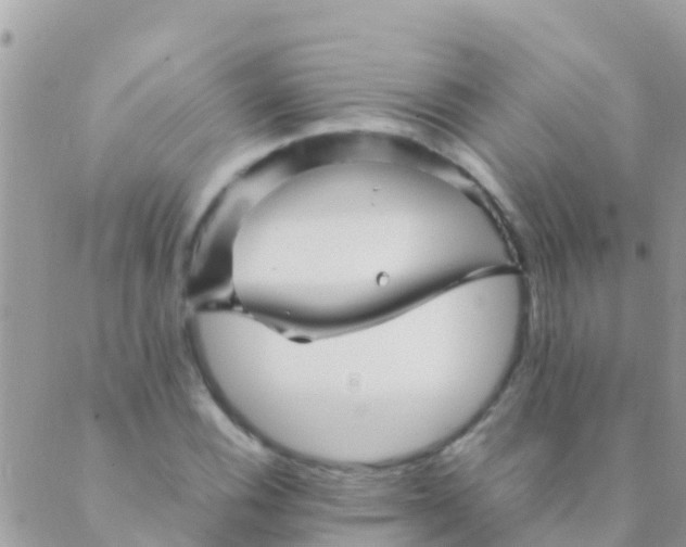 X0000089431116200707061337