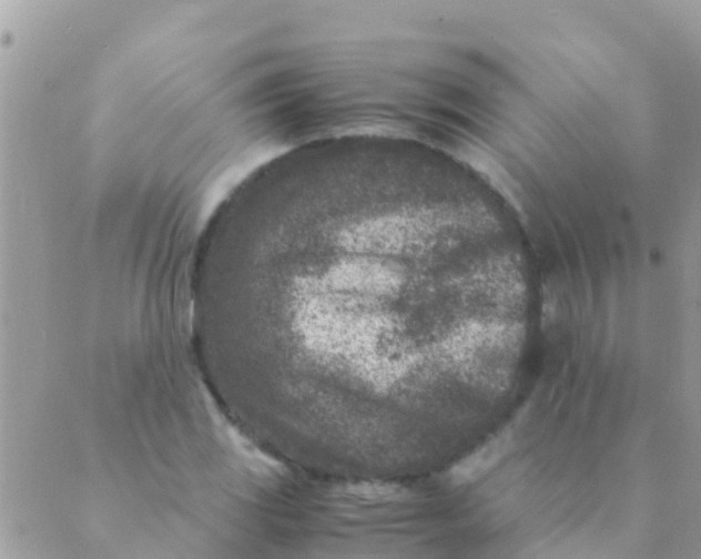 X0000089431117200707061337