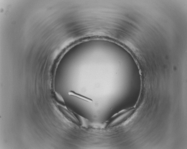 X0000089431118200707061337