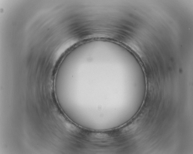 X0000089431119200707061337