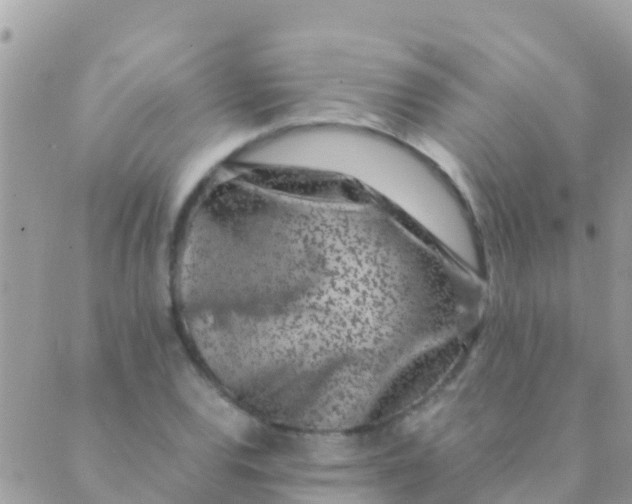 X0000089431120200707061337