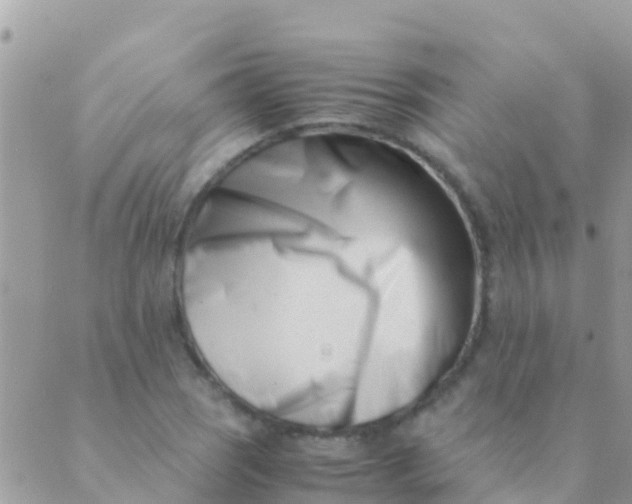 X0000089431121200707061337