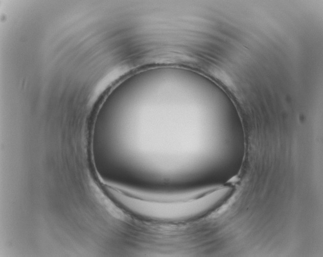 X0000089431122200707061337