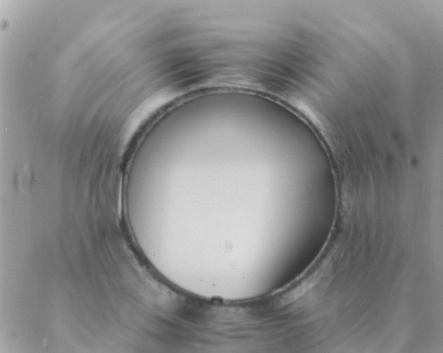 X0000089431123200707061337