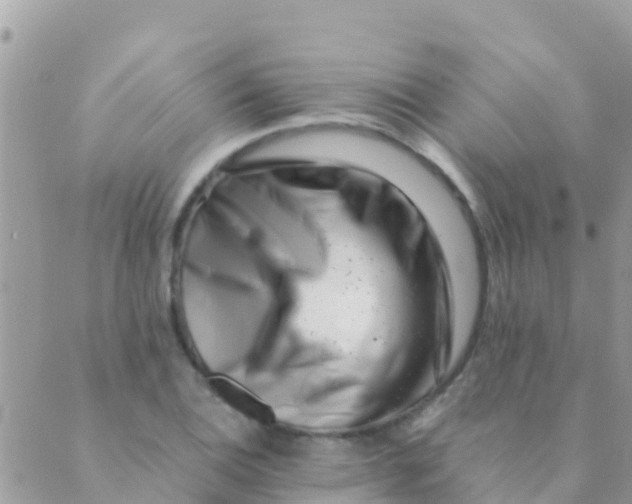 X0000089431124200707061337