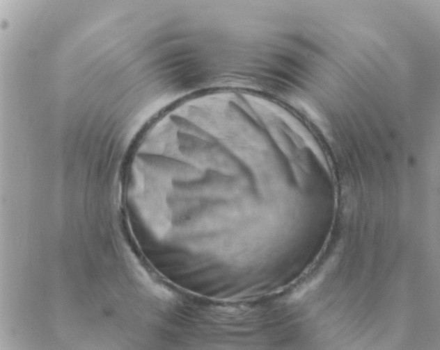 X0000089431125200707061337