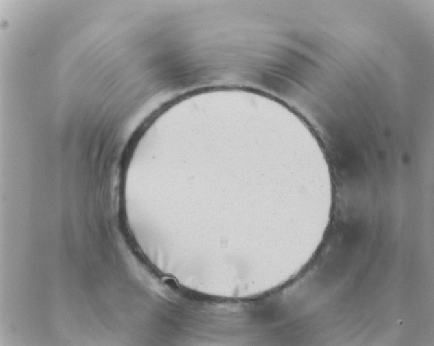 X0000089431126200707061337