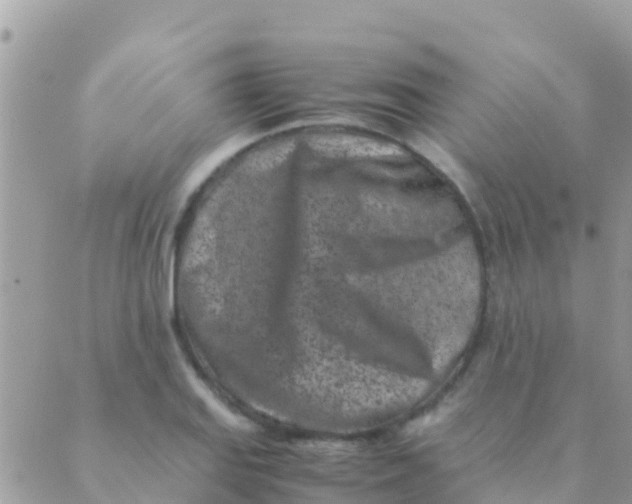 X0000089431127200707061337