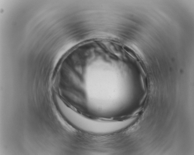 X0000089431128200707061337