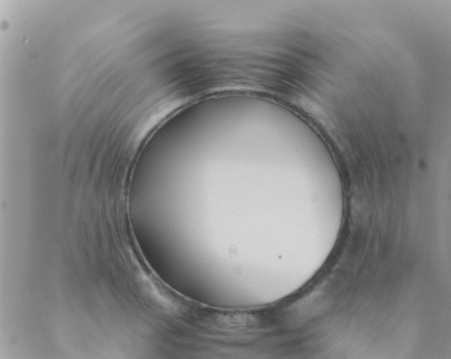 X0000089431129200707061337