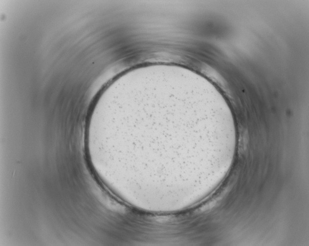 X0000089431130200707061337