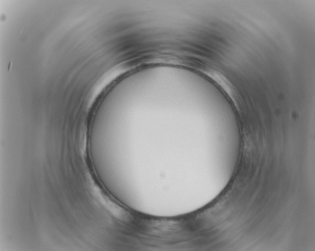 X0000089431131200707061337