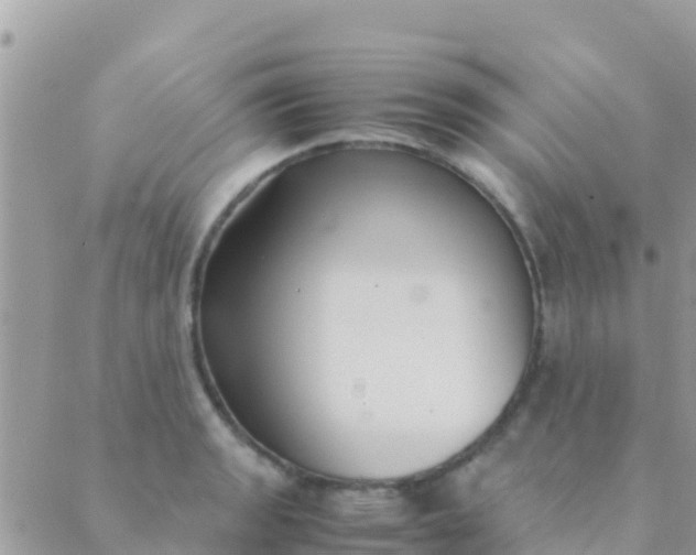 X0000089431133200707061337