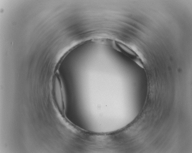 X0000089431134200707061337