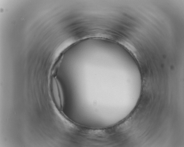 X0000089431135200707061337