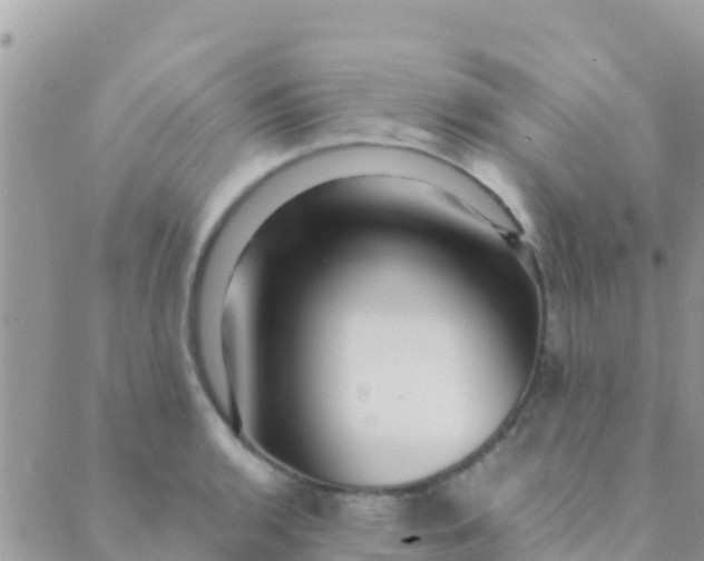 X0000089431136200707061337