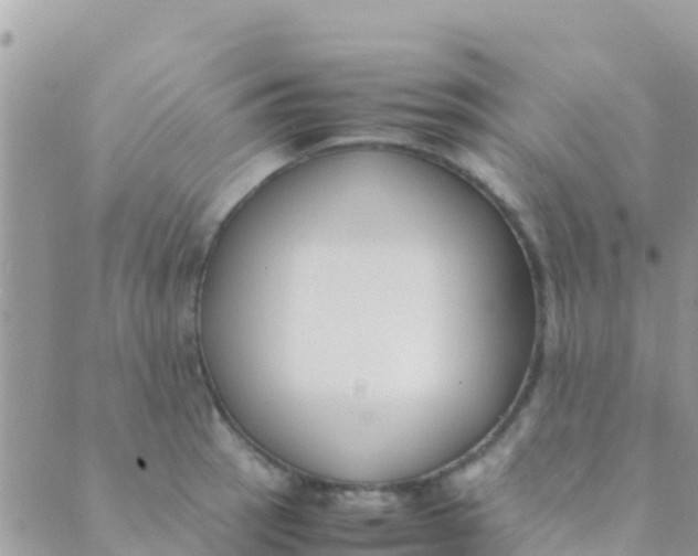 X0000089431137200707061337