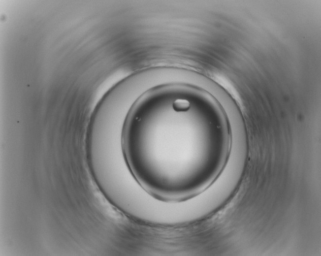 X0000089431138200707061337