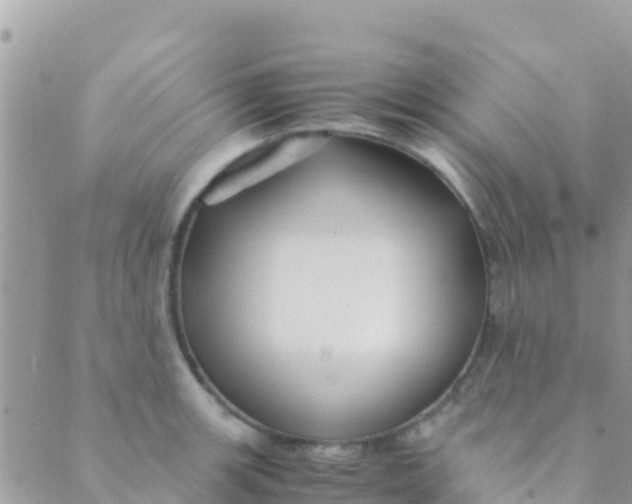 X0000089431139200707061337