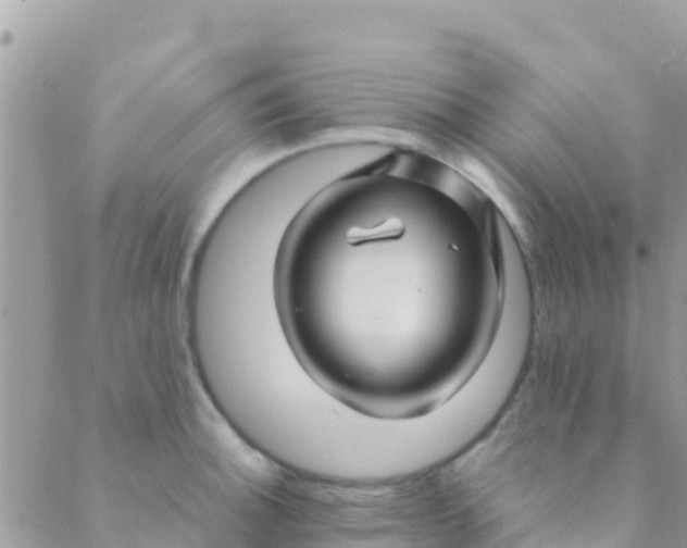 X0000089431140200707061337