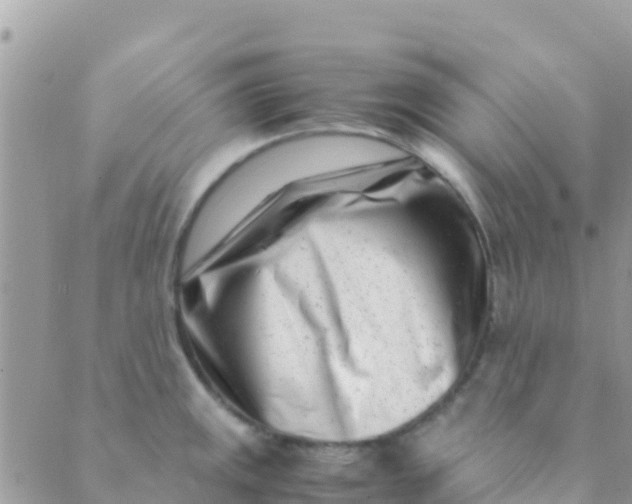 X0000089431141200707061337