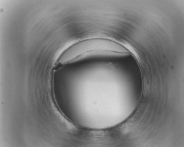 X0000089431142200707061337