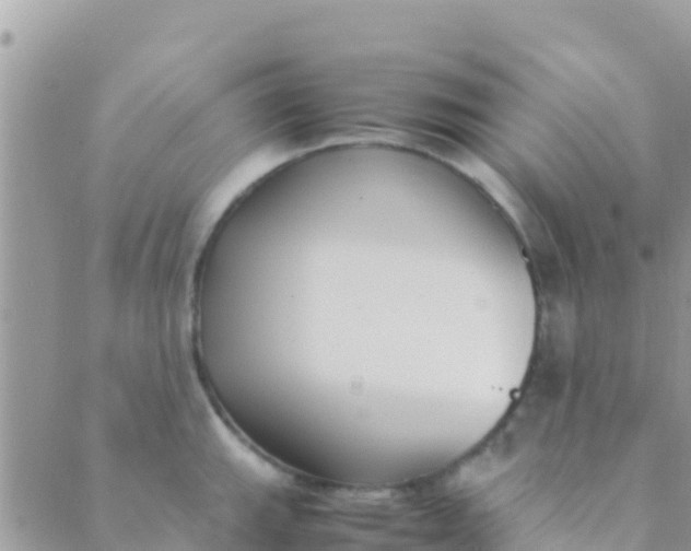 X0000089431143200707061337