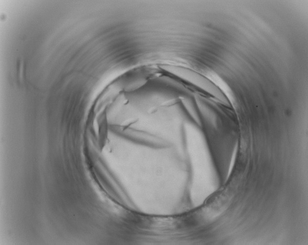 X0000089431144200707061337