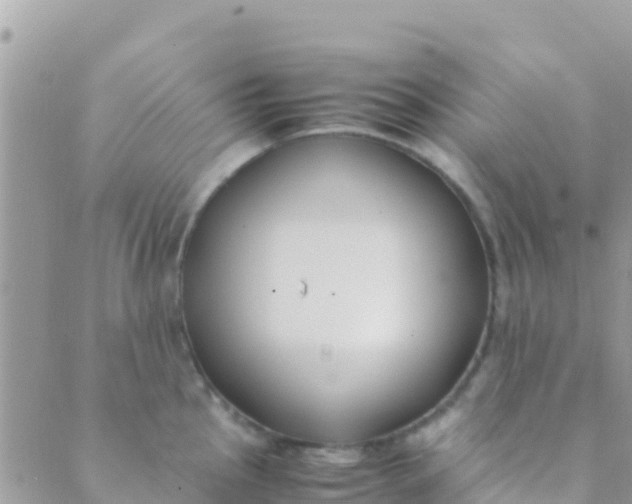 X0000089431145200707061337