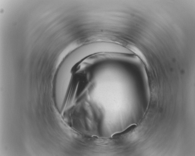 X0000089431146200707061337