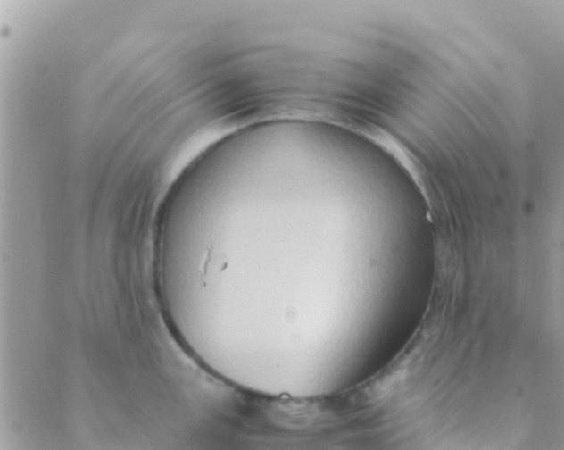 X0000089431147200707061337