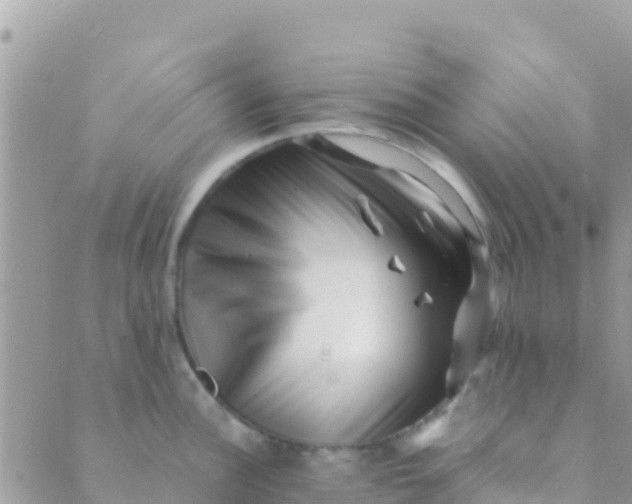 X0000089431148200707061337