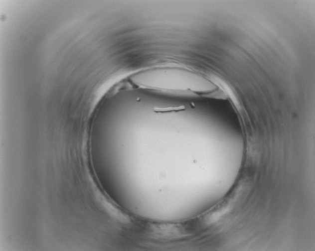 X0000089431149200707061337