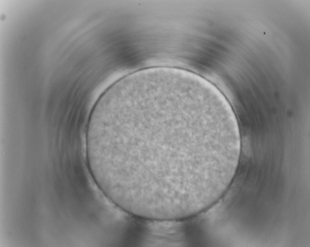 X0000089431150200707061337