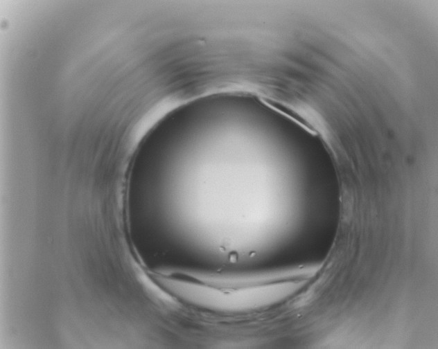 X0000089431151200707061337