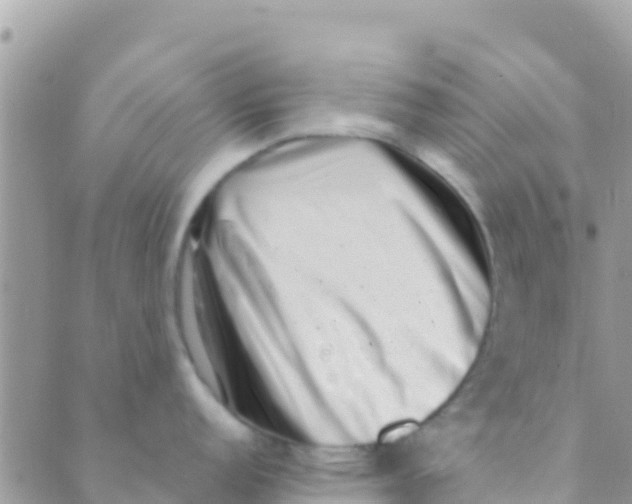 X0000089431152200707061337