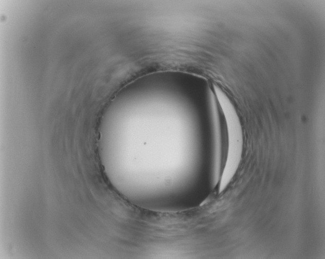 X0000089431153200707061336