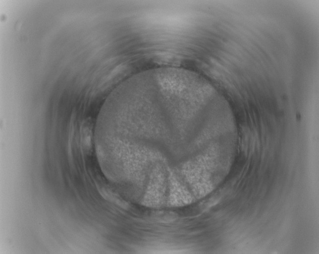 X0000089431154200707061336