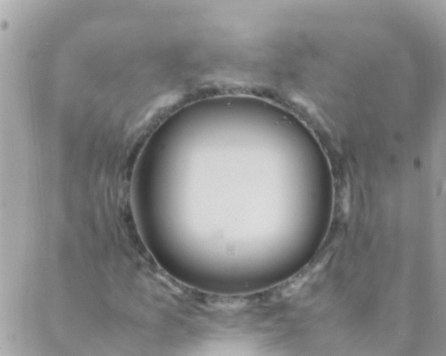 X0000089431157200707061336