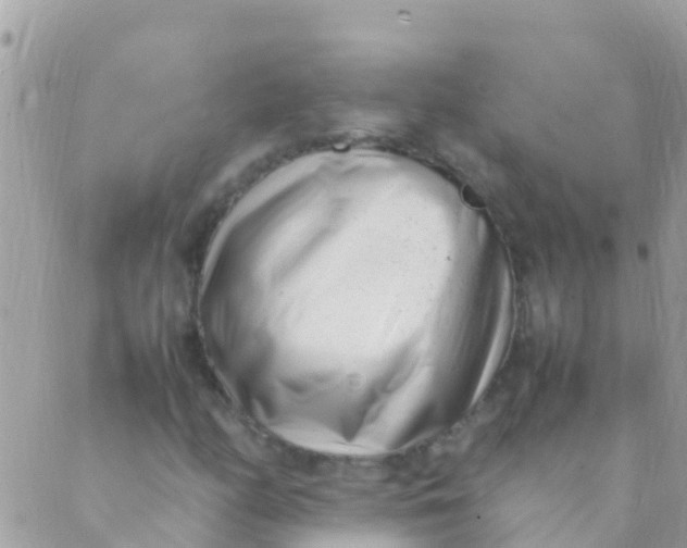 X0000089431158200707061336