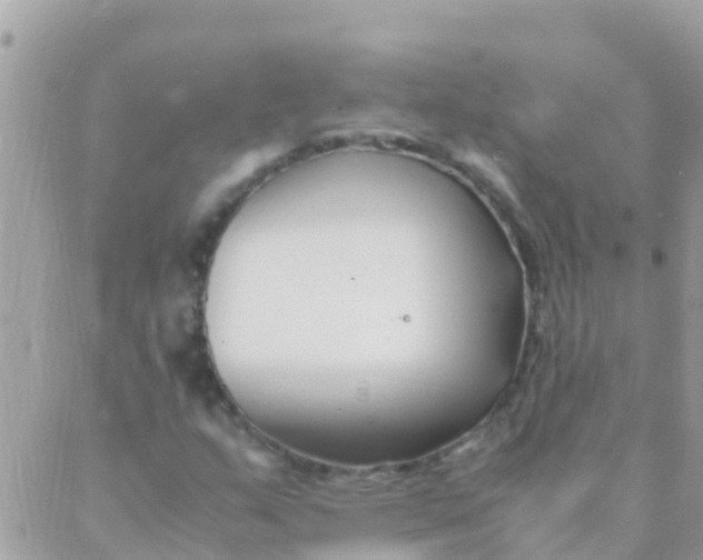 X0000089431159200707061336