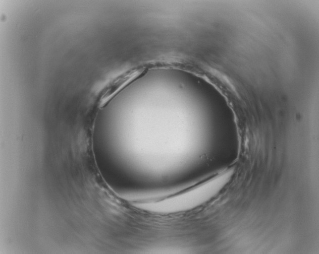 X0000089431160200707061336