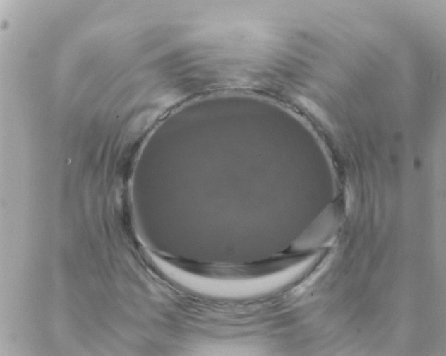 X0000089431161200707061336