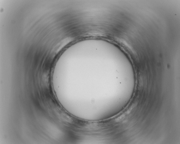 X0000089431162200707061336