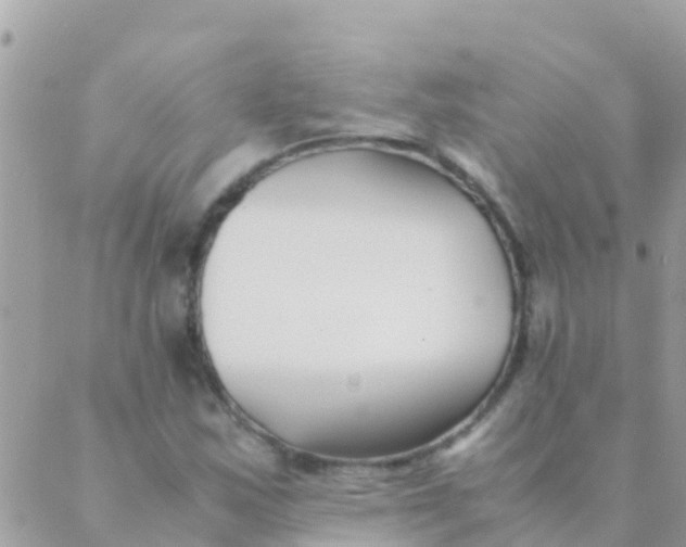 X0000089431163200707061336